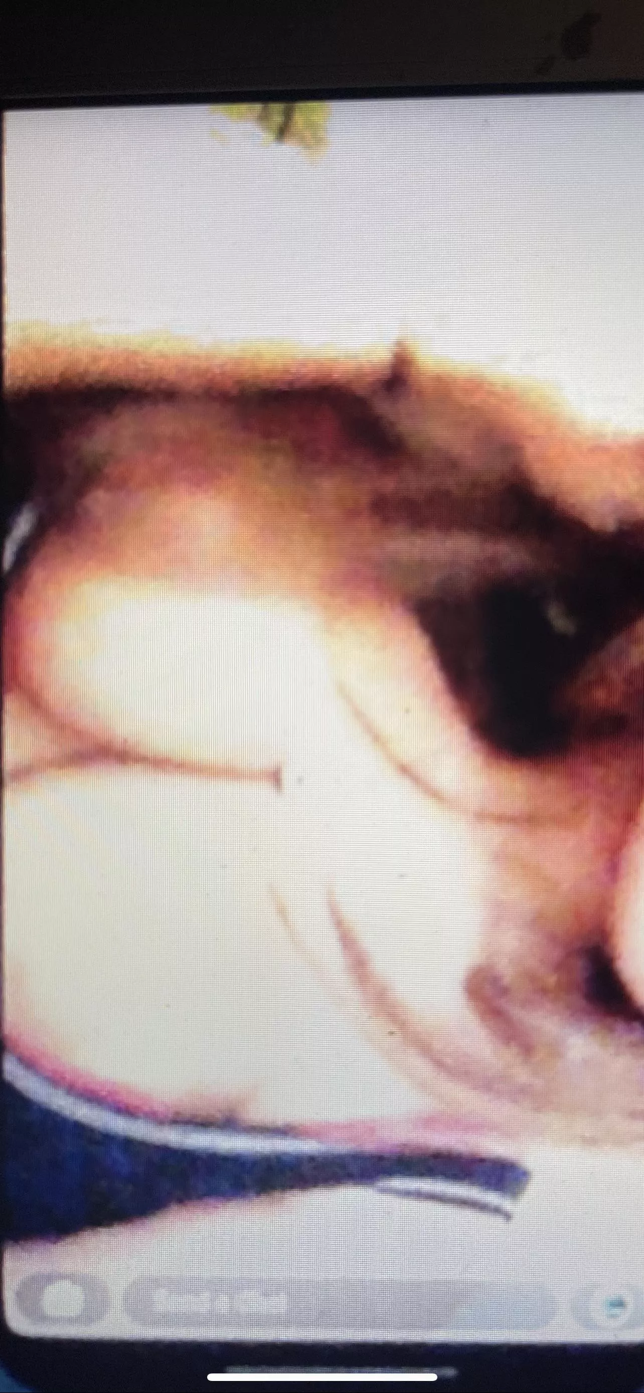 My younger sister keeps snapping me her tits and she’s begging me for some cock who would like to dump some cum all over my sis My younger sister keeps snapping me her tits and she’s begging me for some cock who would like to dump some cum all over my sis