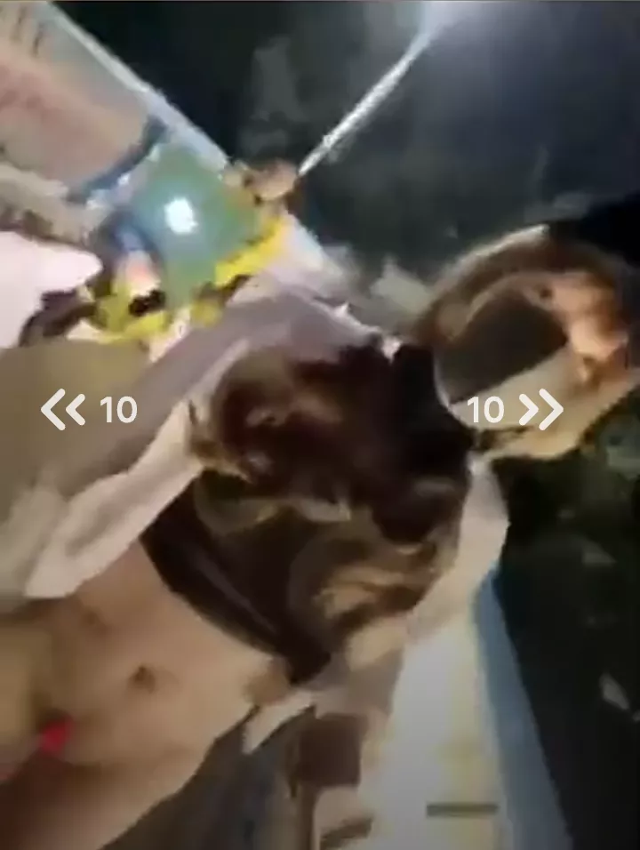 name or sauce anyone?