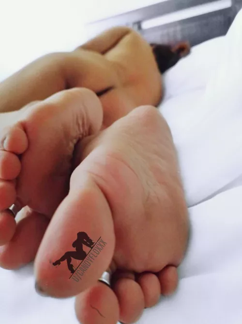 Napping in a winter a[f]ternoon