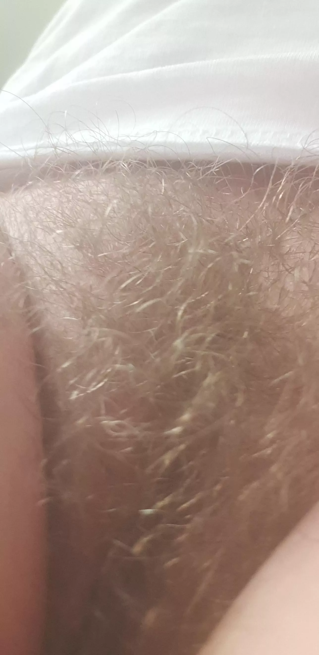 Nattie Blonde Bush 😘