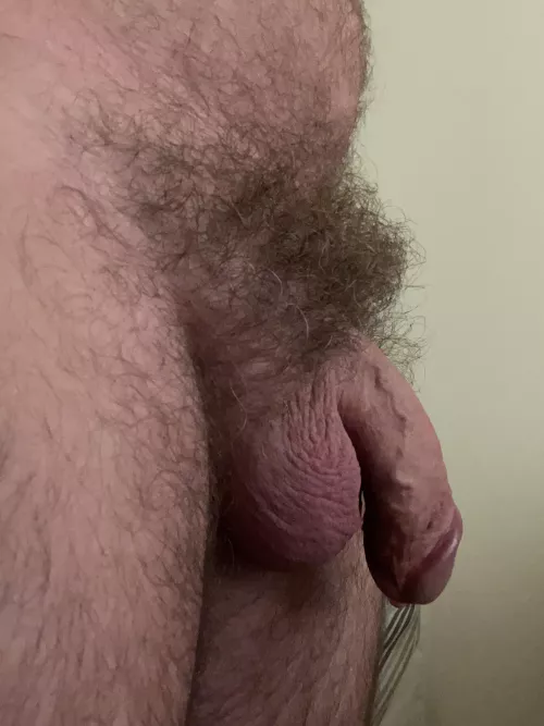 Natural pubes here. Should I stay? Moderate, heavy or light pubes?
