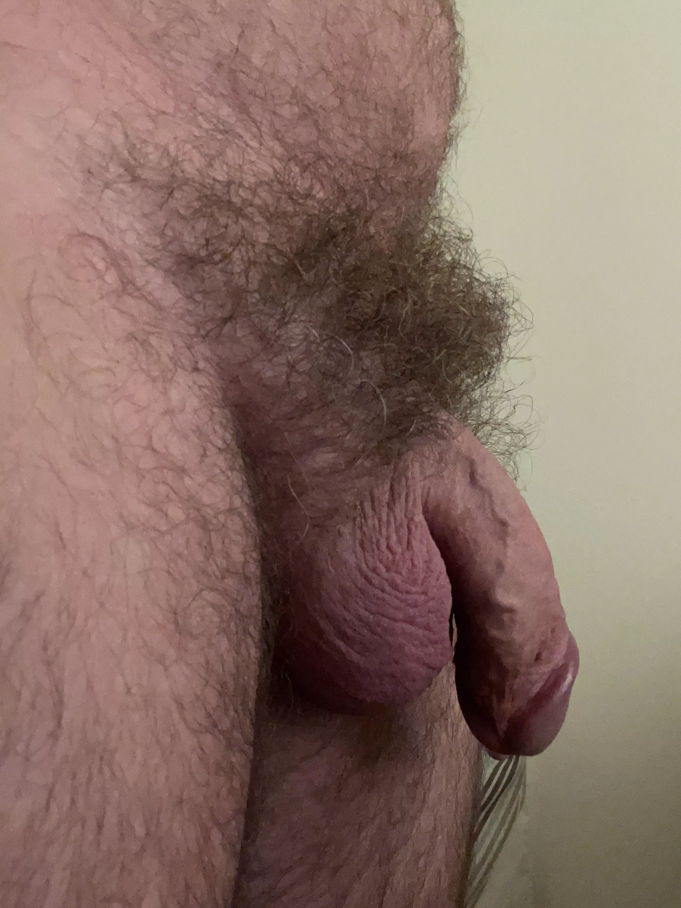 Natural pubes here. Should I stay? Moderate, heavy or light pubes?