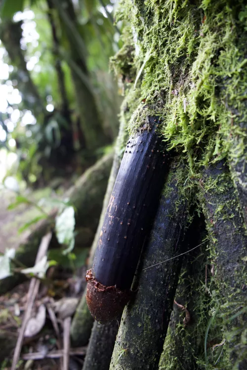 Nature being one with nature 🤣😍