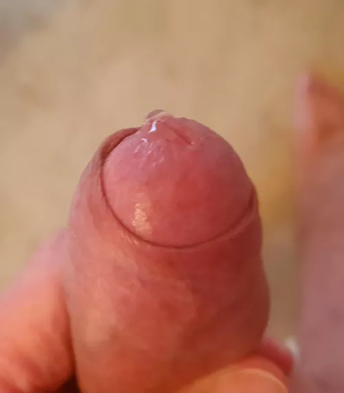 Nectar, first clear drop