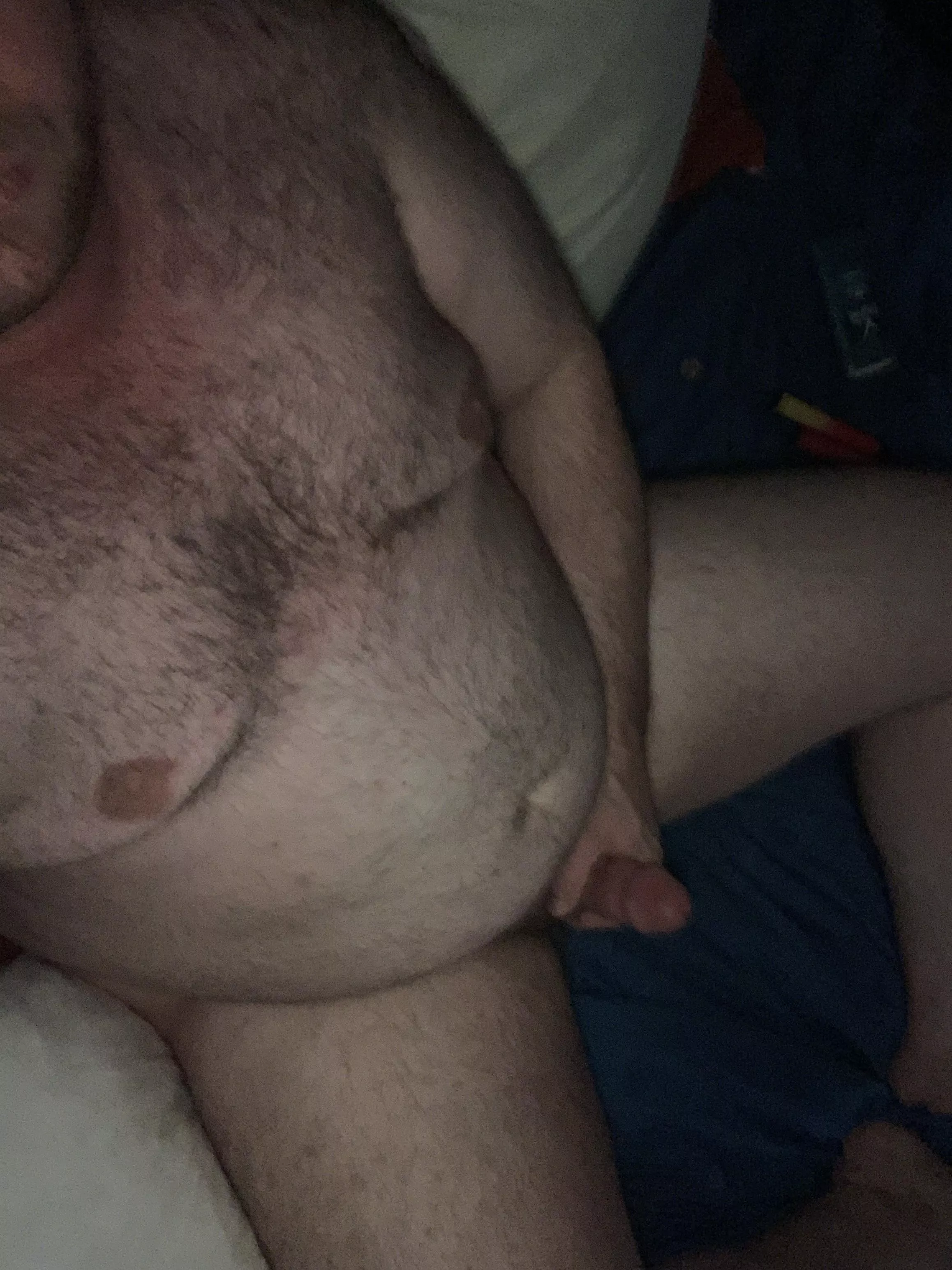 Need a big hairy bear in bed to play with Need a big hairy bear in bed to play with