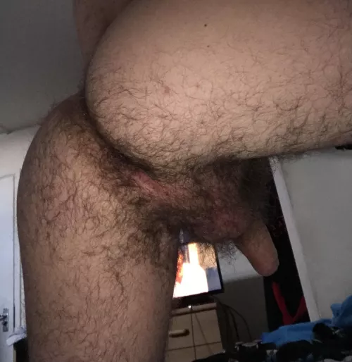 Need a hairy cock for my hairy ass