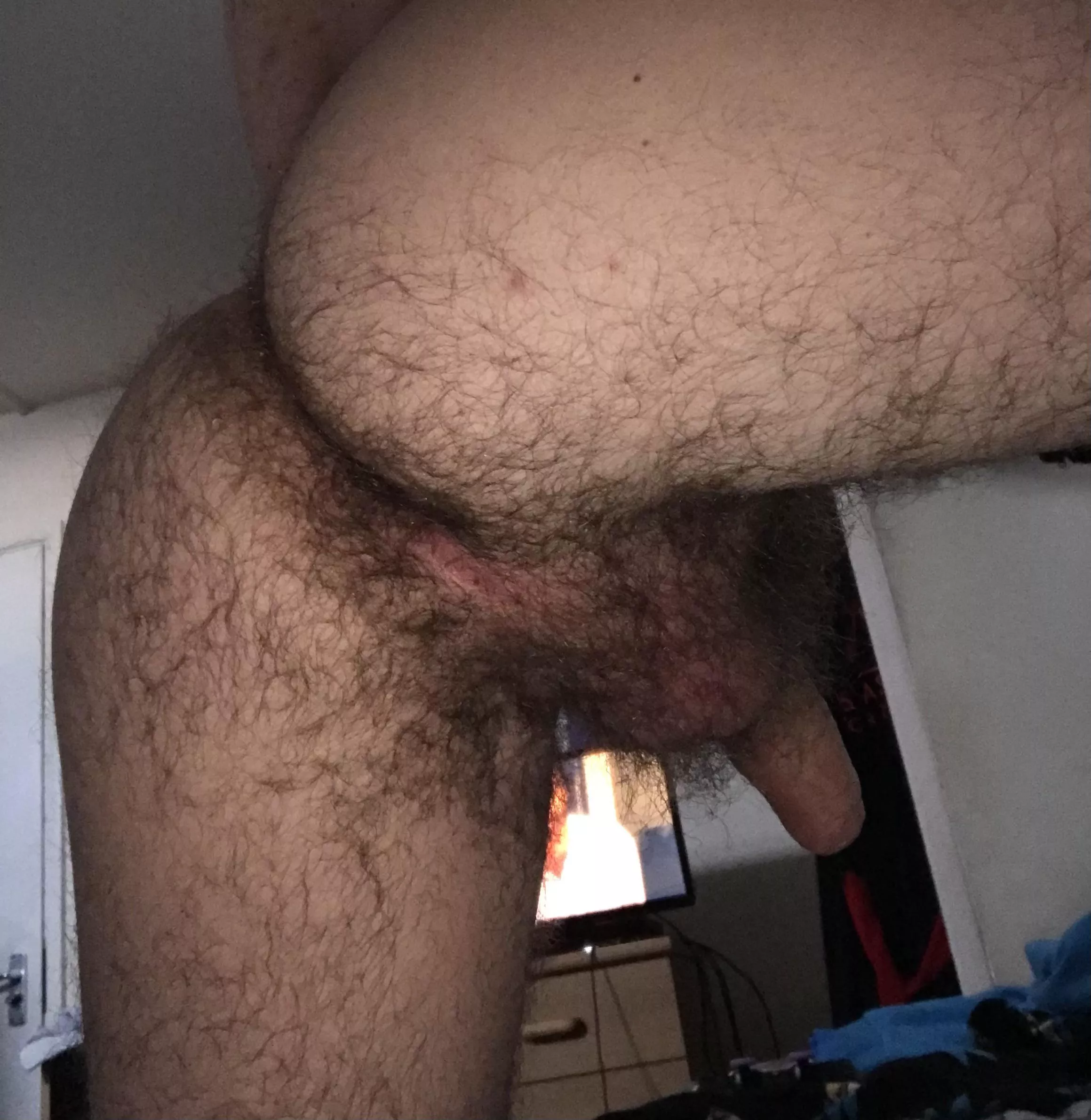 Need a hairy cock for my hairy ass