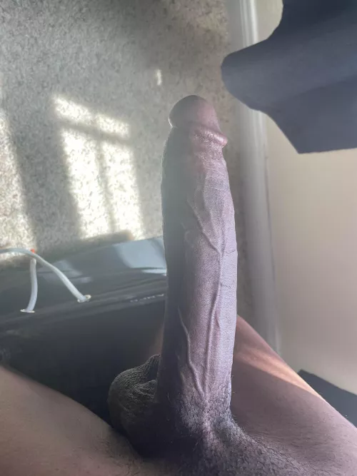 Need a live in fucktoy Hmu