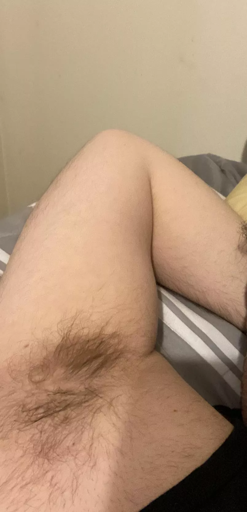 Need a mouth in here