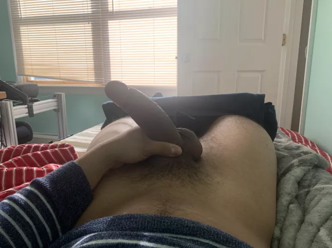 Need a sleep in slut for my morning Wood