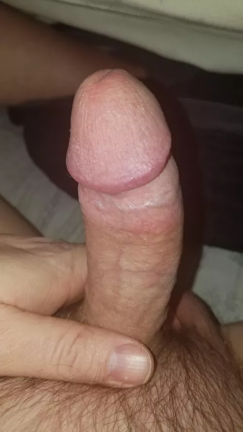 Need my dick sucked on....