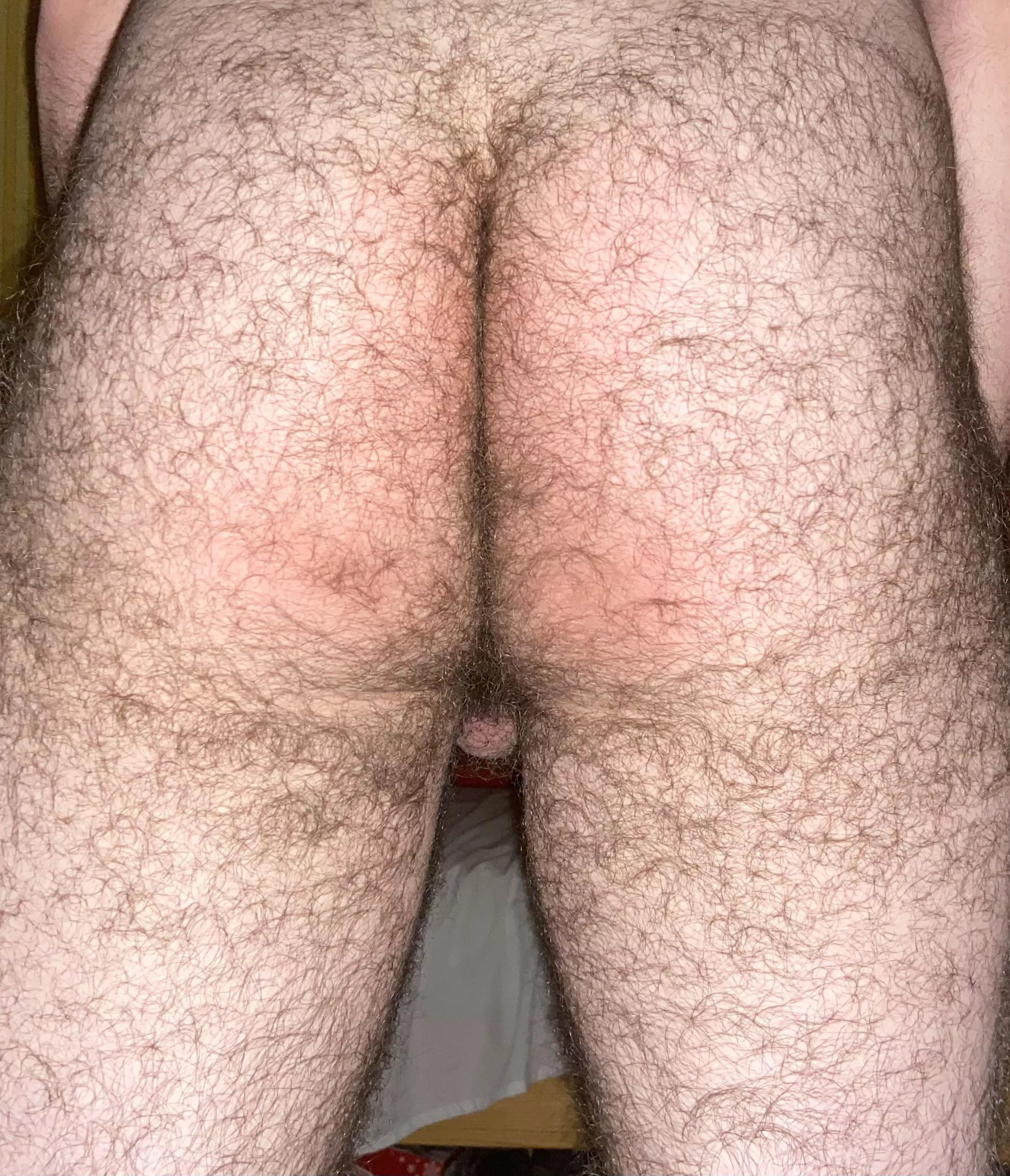 Need some hairy cock …HMU