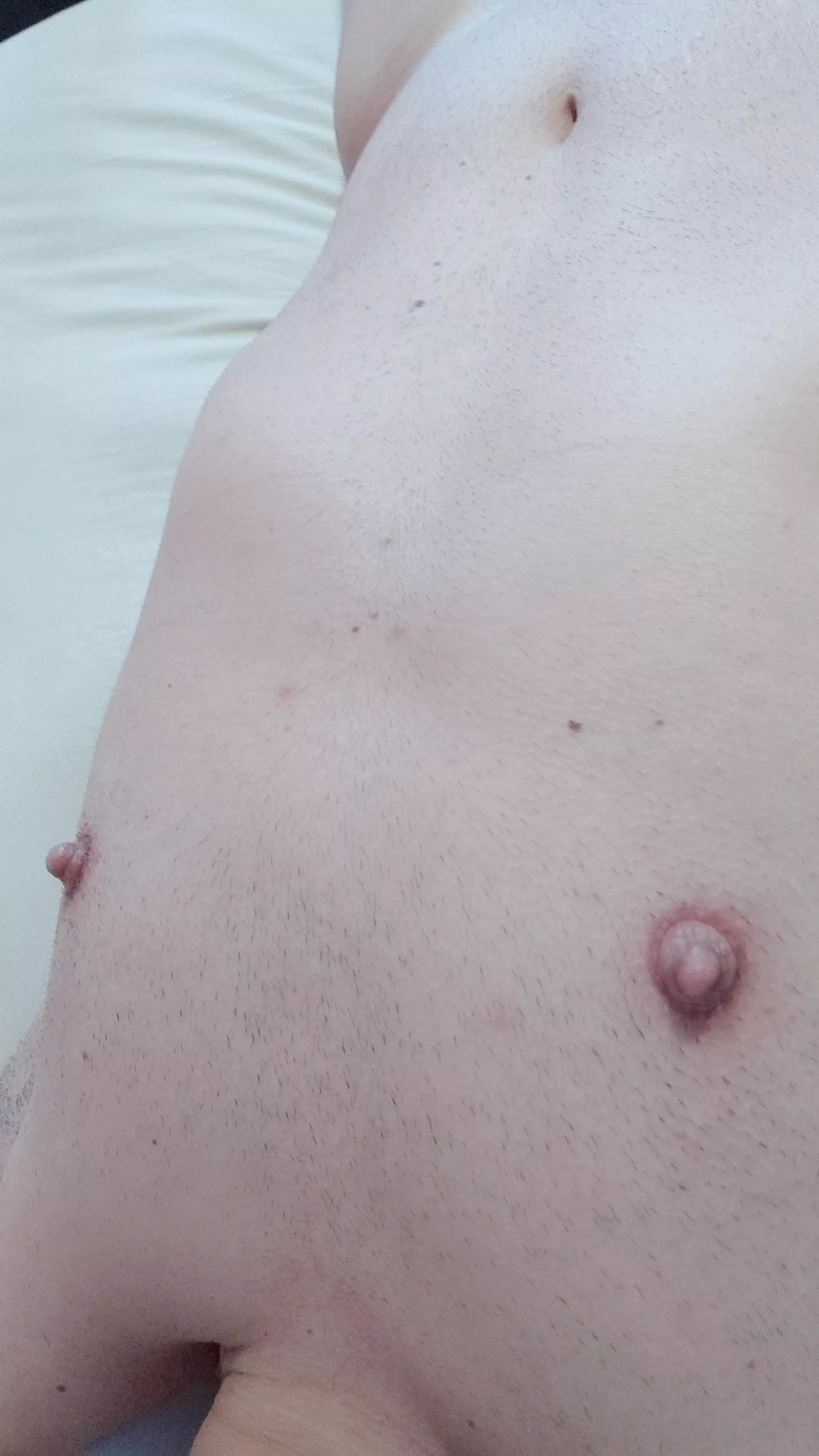 Need some tasks to make them even bigger!