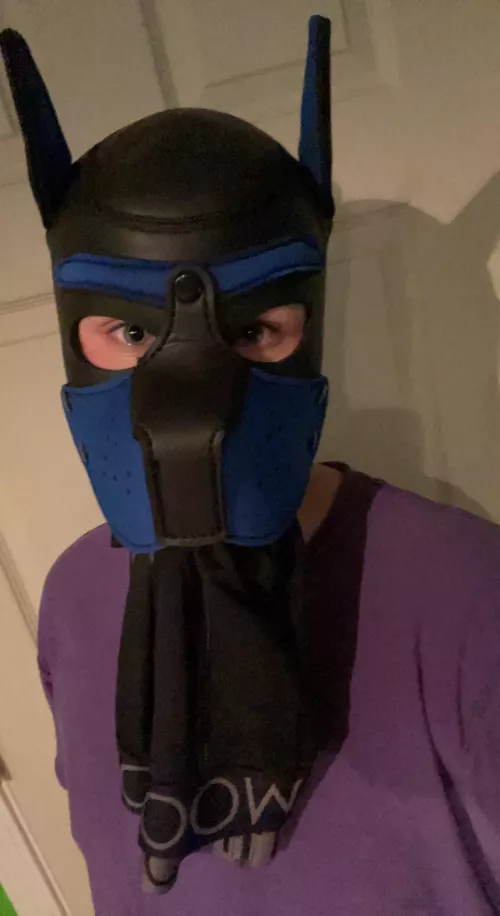 Need these underwear back? UwO