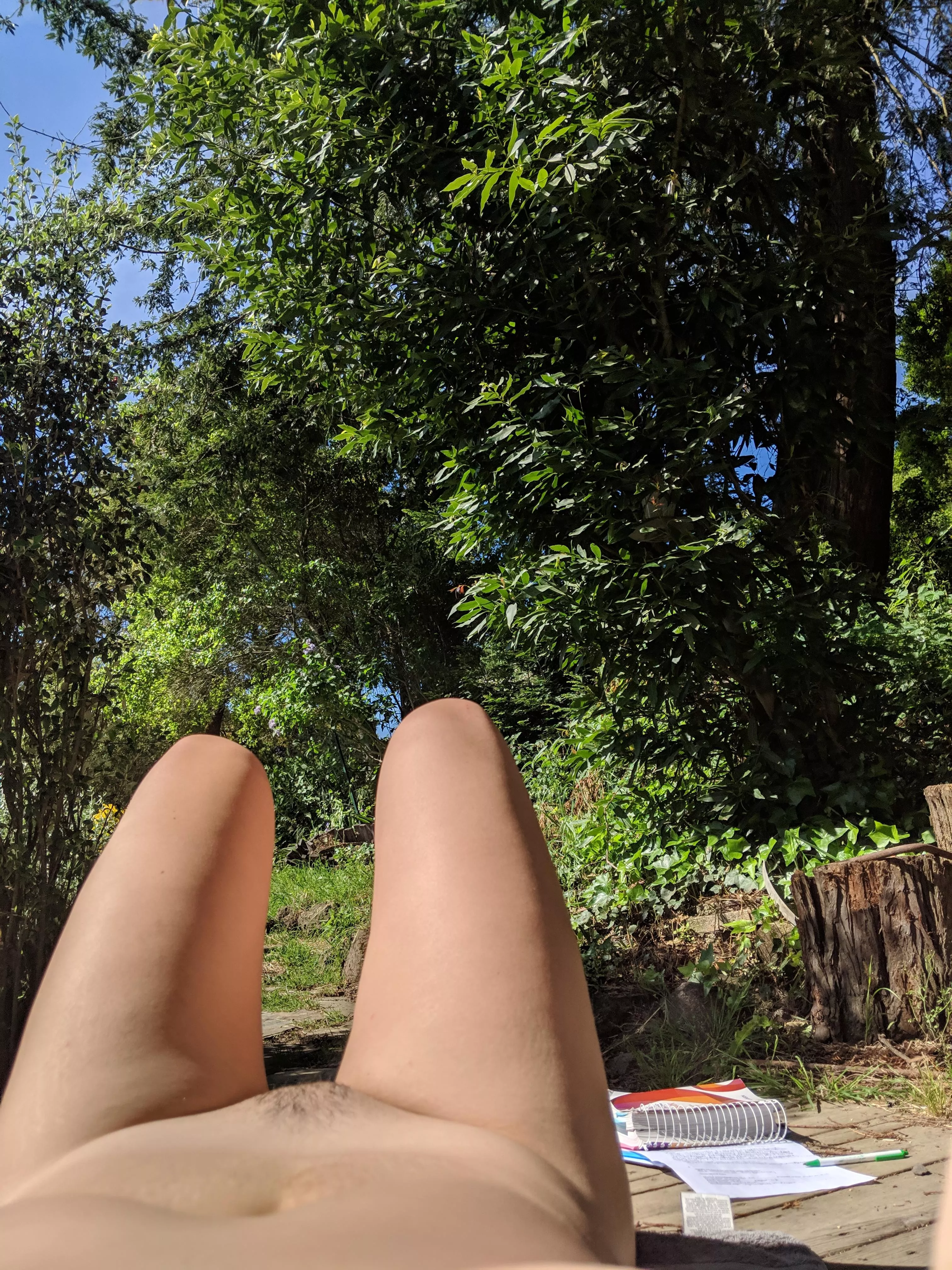 Need to catch up on the landscaping.. and homework :/ (33f) Need to catch up on the landscaping.. and homework :/ (33f)