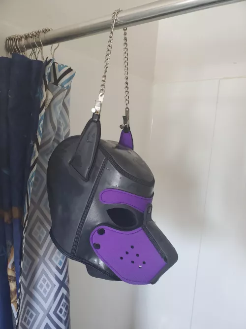 Needed to dry my hood and realized I could use my nipple clamps to hang it from the shower curtain! 🤣