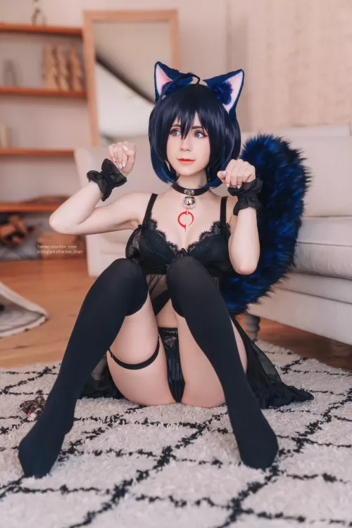 Neko Seele Vollerei from Honkai Impact 3rd by HackeeNyan