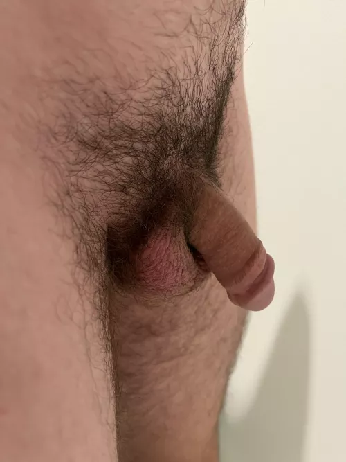 Nervous because I’ve never posted a softy before (more of a grower). Lmk what you think