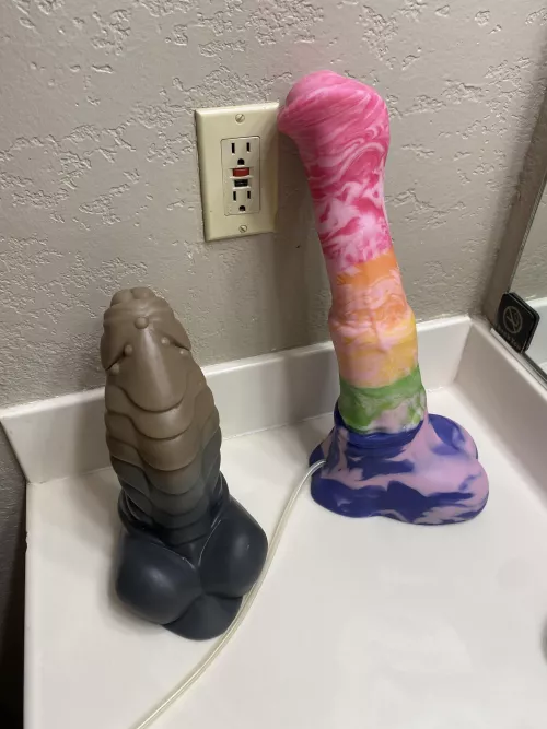 New additions to the family… oh the fun we will have