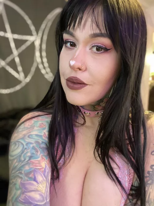 New collar, same brat 😈