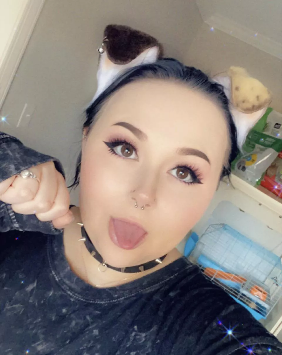 New ears and collar, ruff~!