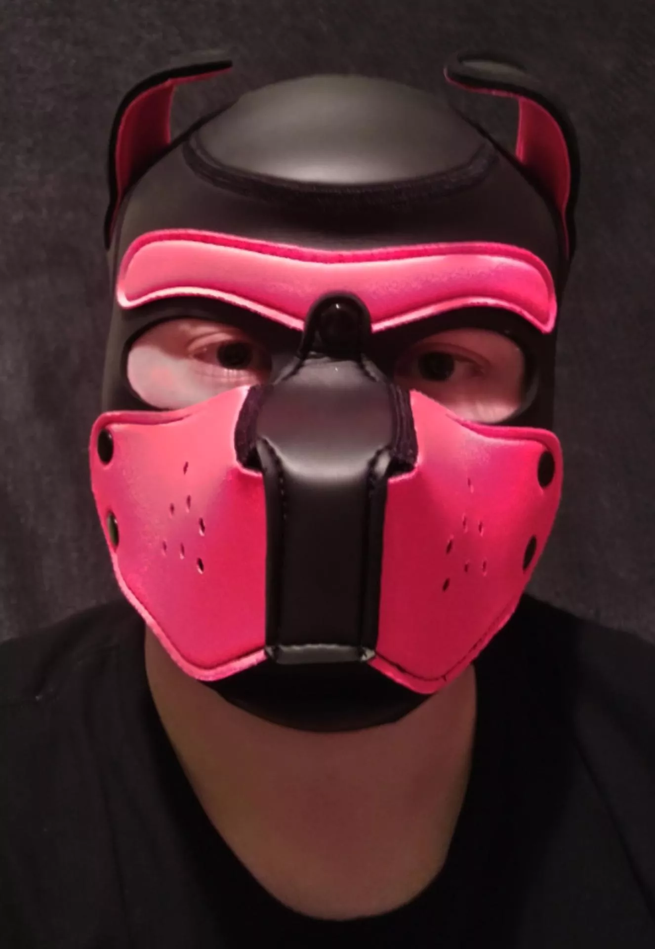 new face who this 🐶