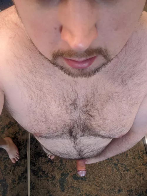 New job, staying in hotel. Need some company here.