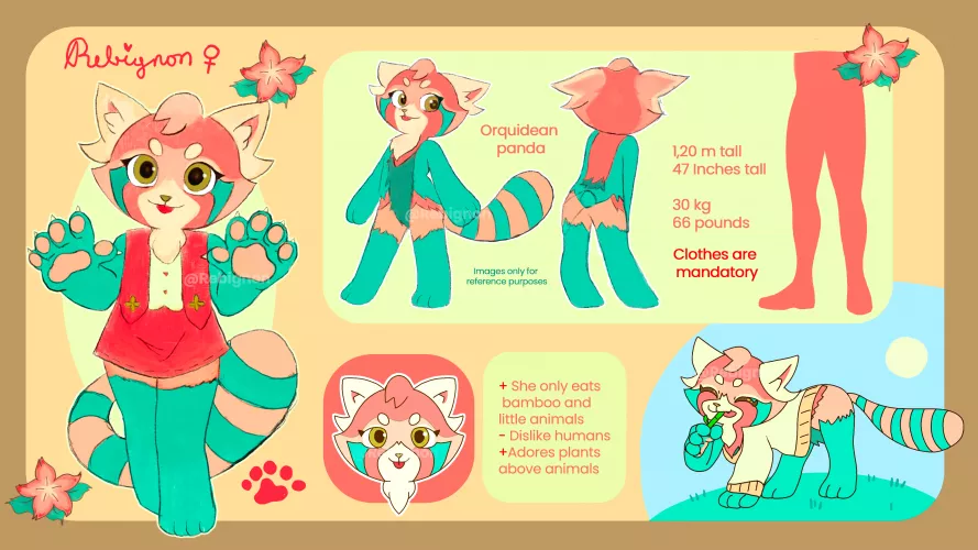 New on the community, say hello to Rebignon!