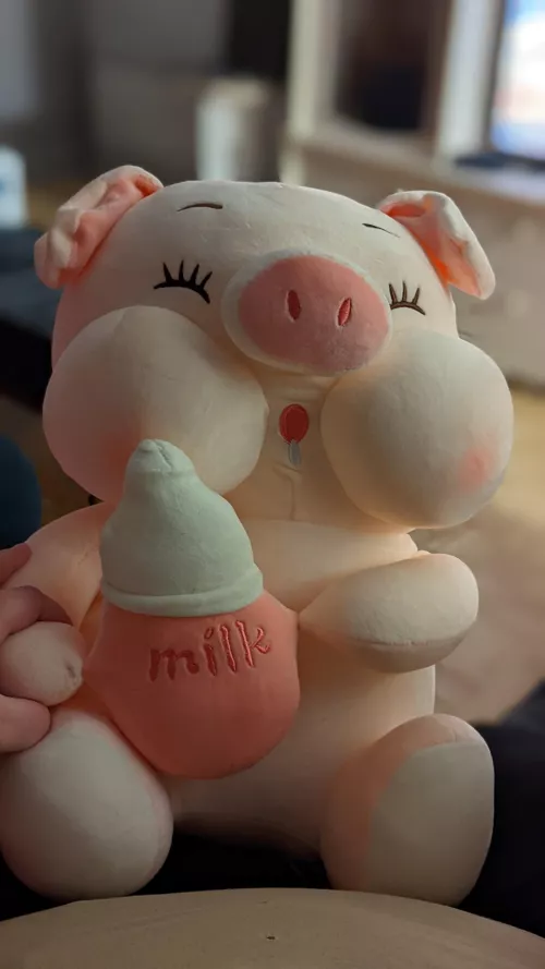 New stuffie again !!! I'm almost done with adding some to my collection, I tend to get bigger ones and there is less and less space on my couch and bed hihi 😋 This is Piglet ! He is oh so darn cute and soft and I wuvs him so much ! 🥰 Thank you hub