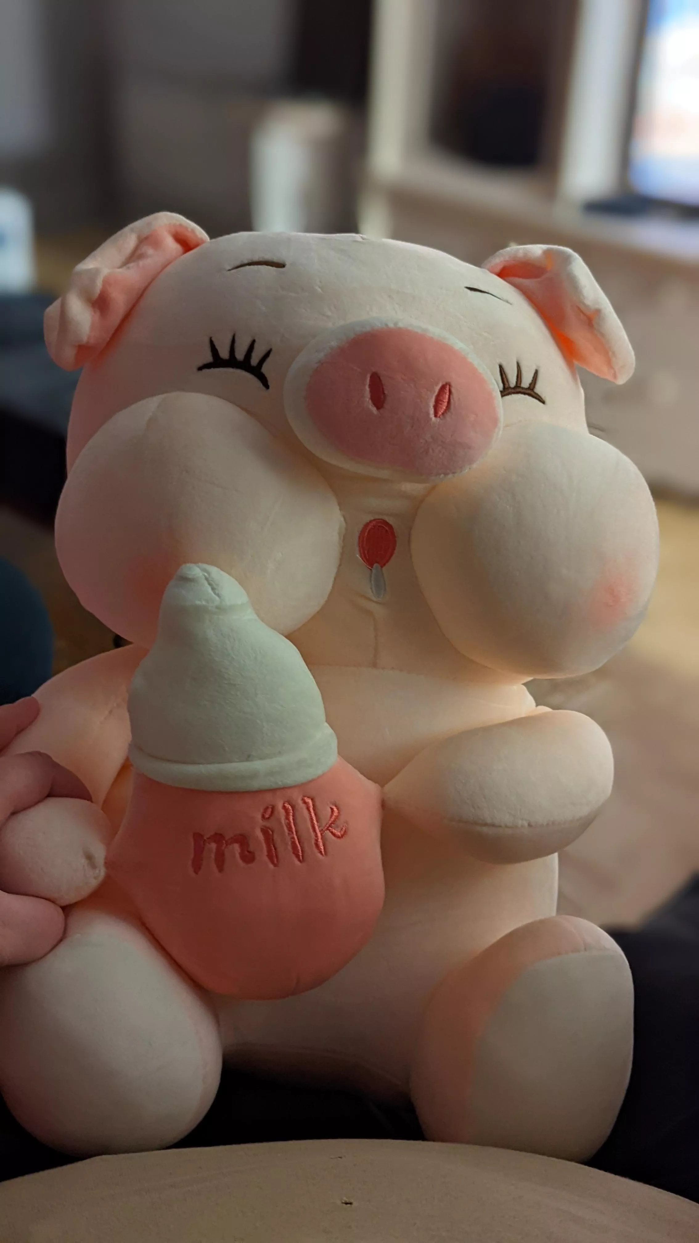 New stuffie again !!! I'm almost done with adding some to my collection, I tend to get bigger ones and there is less and less space on my couch and bed hihi 😋 This is Piglet ! He is oh so darn cute and soft and I wuvs him so much ! 🥰 Thank you hub