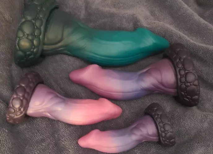 new to my menagerie, Nox L. specimens complete.