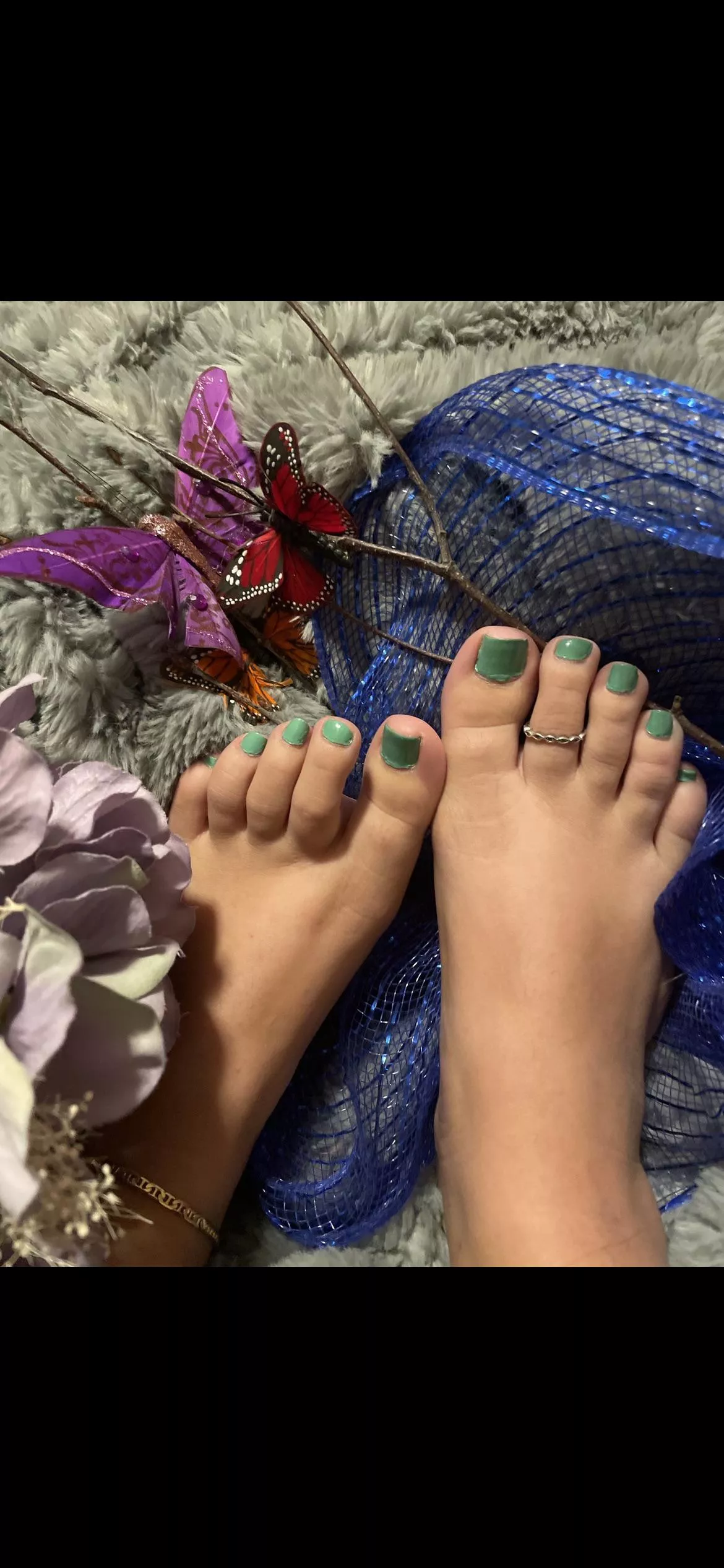 New to this and wandering what you think of my wasian toes?