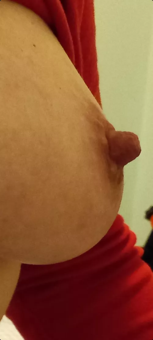 New year nip