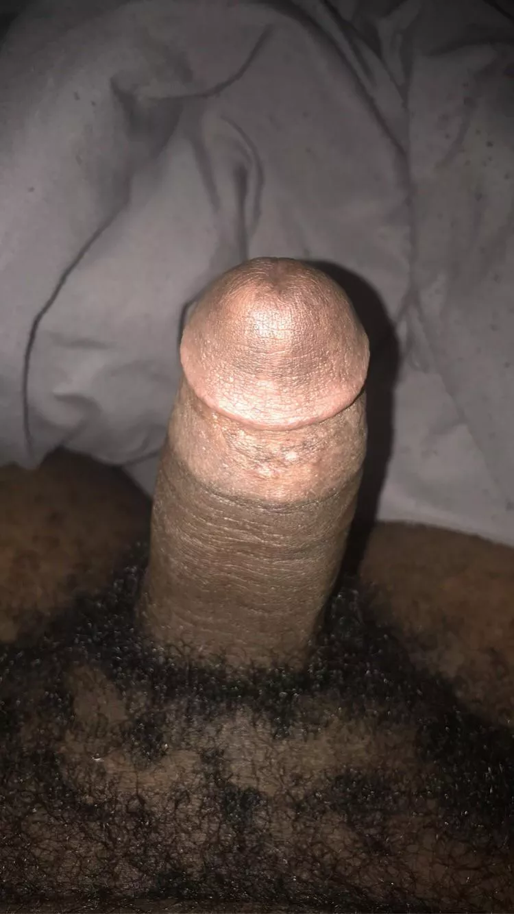 New Year’s Eve Dick
