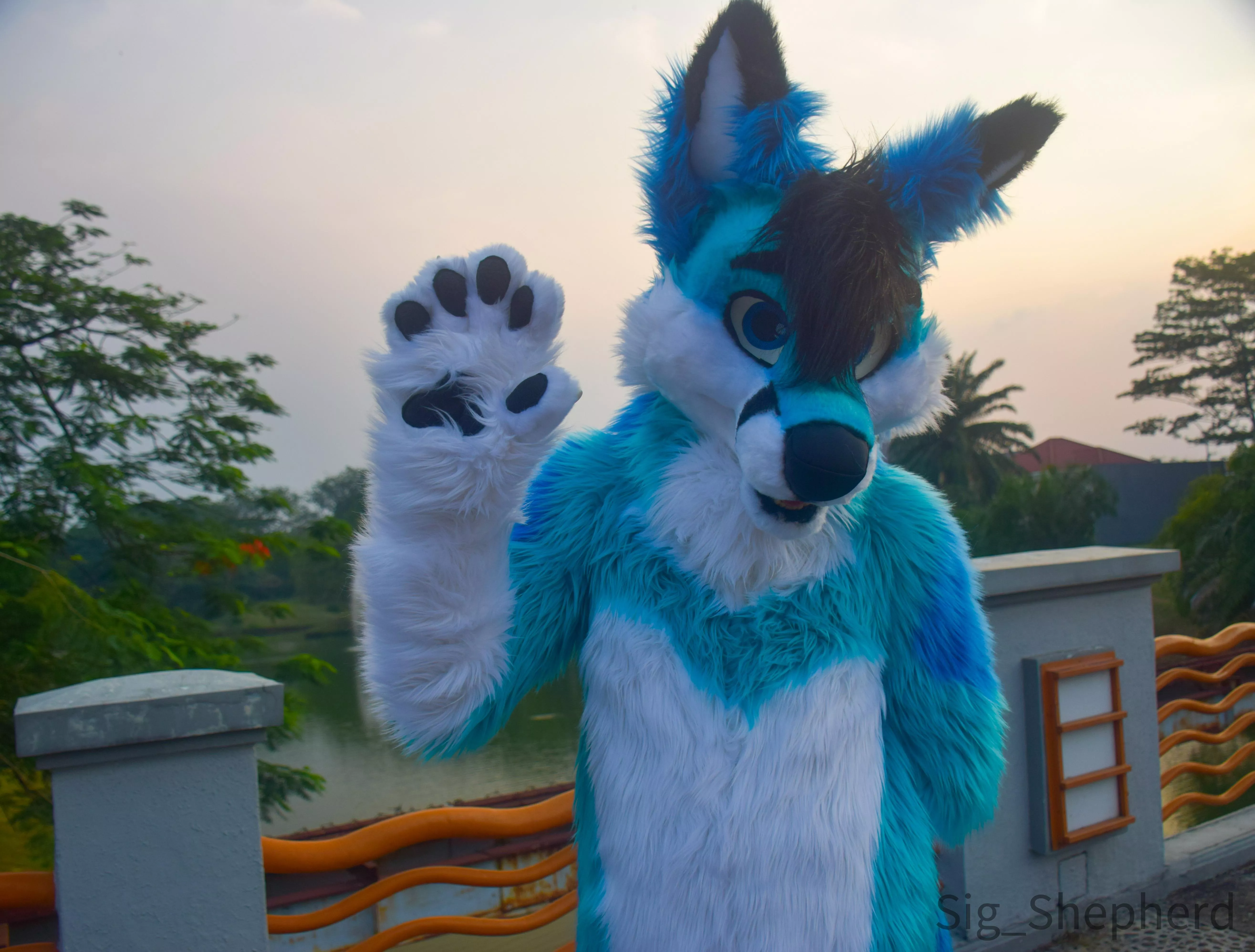 New Year’s Eve! What’s your plan for 2022?