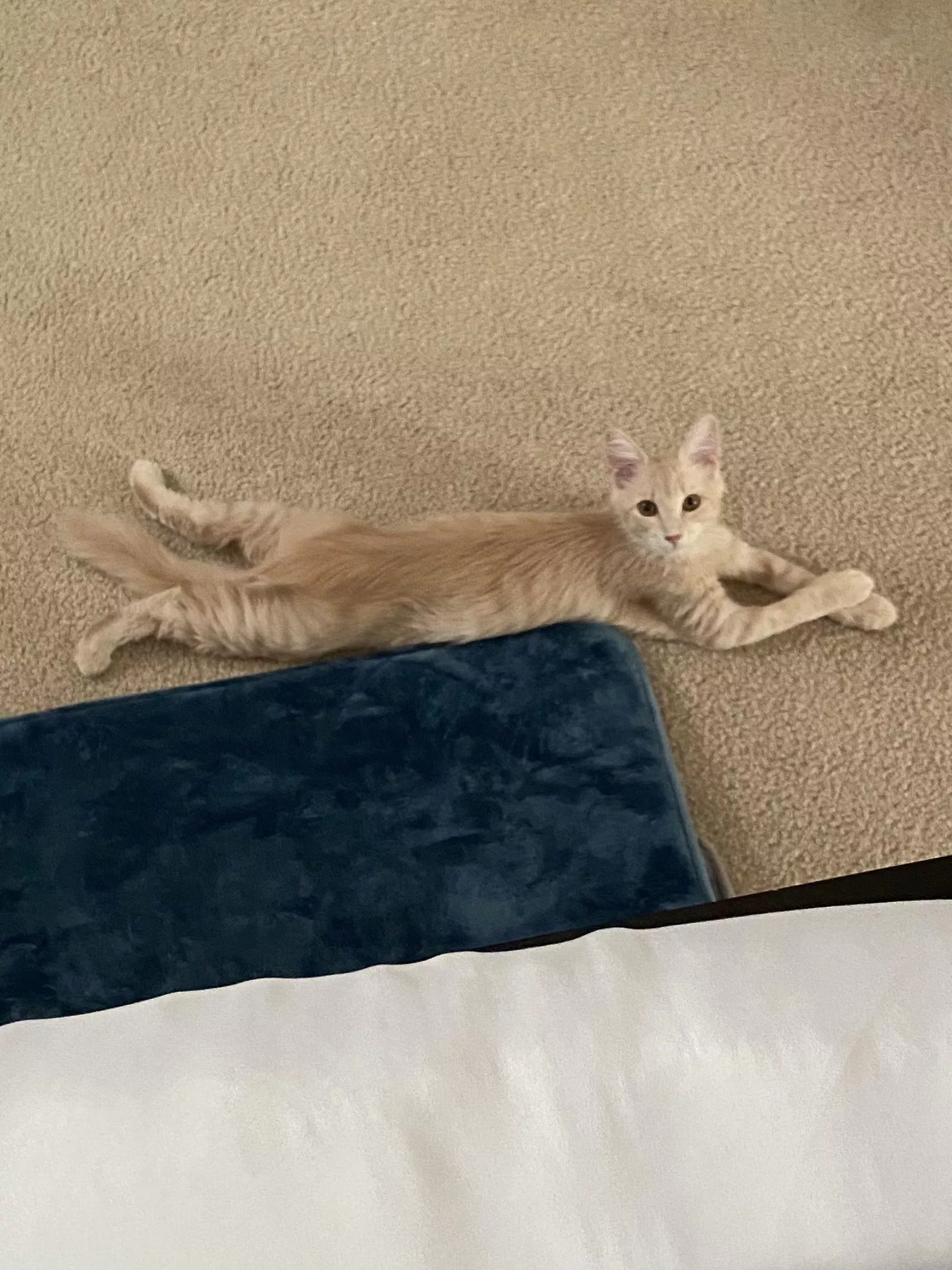 Newbie question: Can you still give a good rimm without using your tongue?