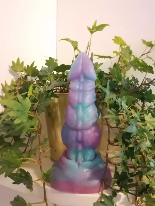 Newest arrival: Nova