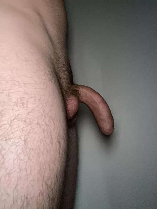 Nice hung cock