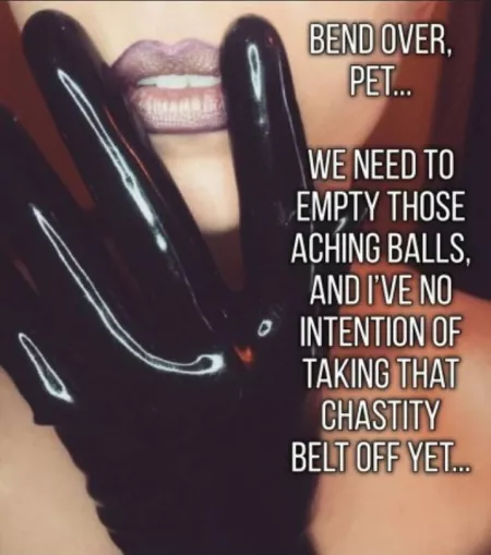 No intentions at all 😈