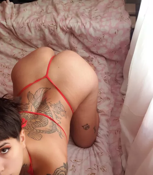 NO PPV π explicit π¦ hot chat π dick rate π€― CUSTOM π£ $ 4.50 Sale π₯link in comments