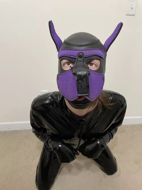 No thoughts, just barks~