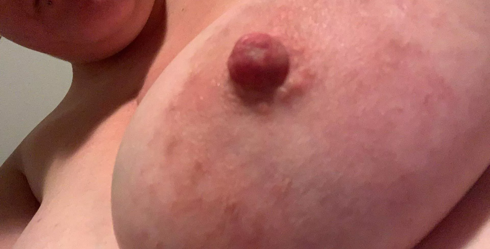 No2 sized eraser nips No2 sized eraser nips