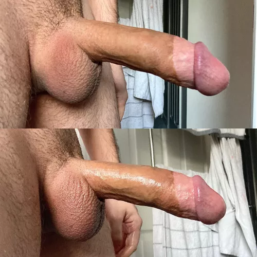 Normal or oiled? [M]