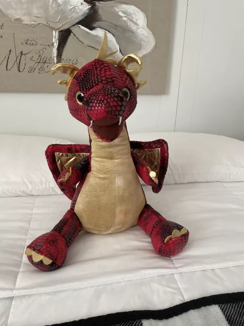 Normally just a DL, but finally got a stuffie and pacifier and loving it. Mr. Dragon is very soft.