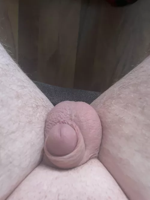 Not even gonna attempt the tp roll challenge 😂😂