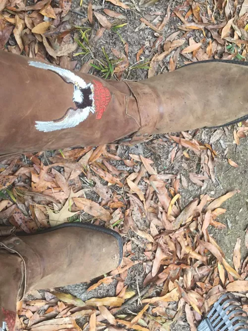 Not my favorite but at least they stopped me for breaking my ankle 3 weeks ago (I feel down some stairs)