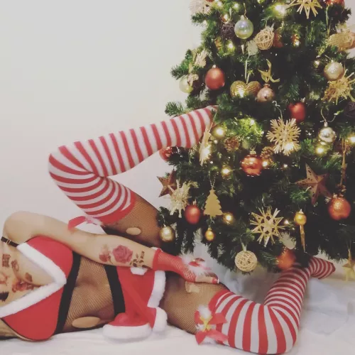 Not one for a bush between my legs but maybe a whole Tree 😉😂🎄🎄