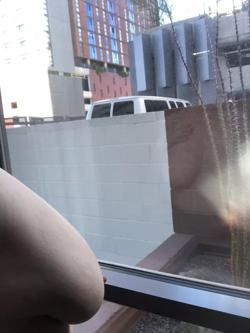 Not the best view from my hotel roomβ¦ π€·πΌββοΈ