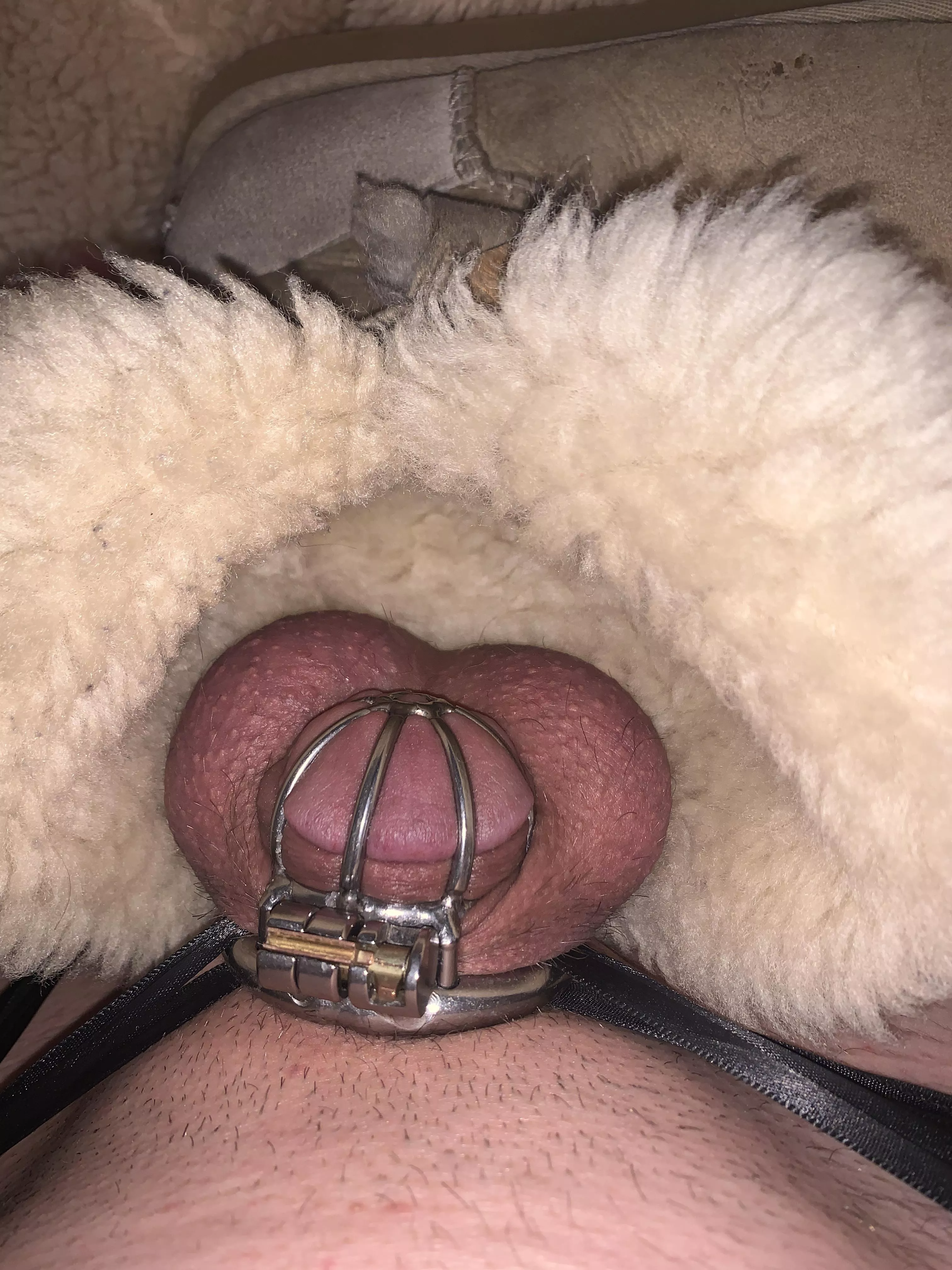 Nothing feels more feminine than chastity and uggs😍😍😍