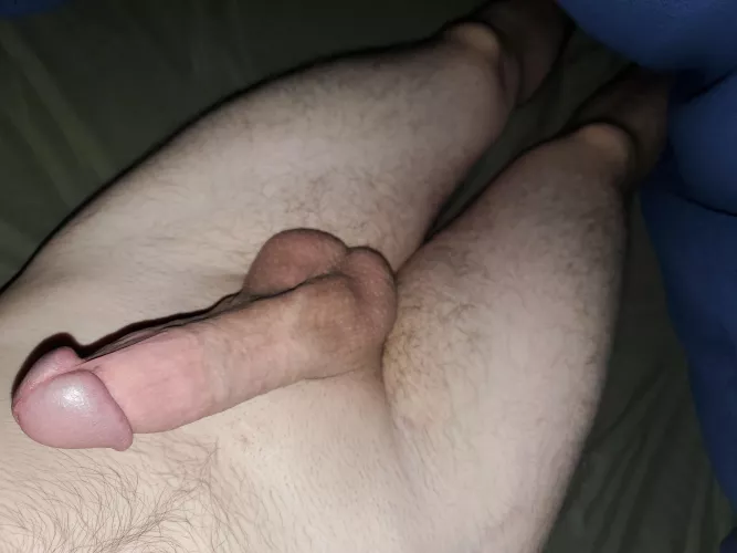 Nothing like a morning tree in the blankets